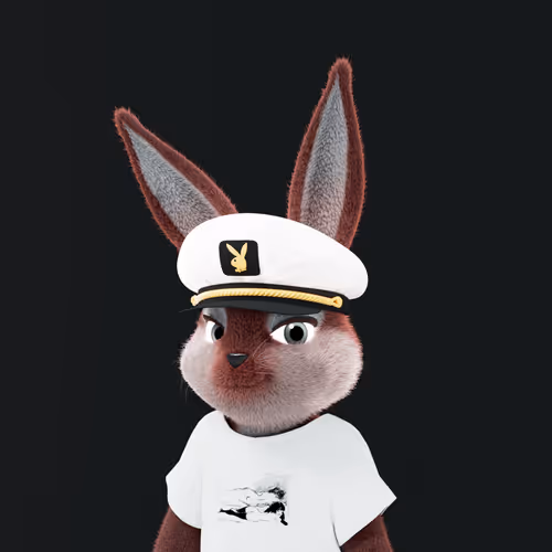 Playboyrabbitars