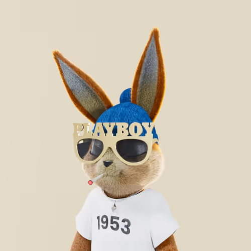 Playboyrabbitars