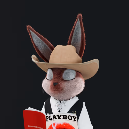 Playboyrabbitars