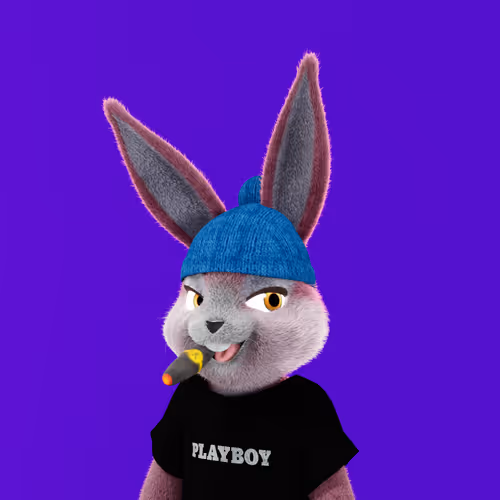 Playboyrabbitars
