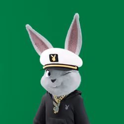 Rabbitar #505