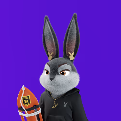 Playboyrabbitars