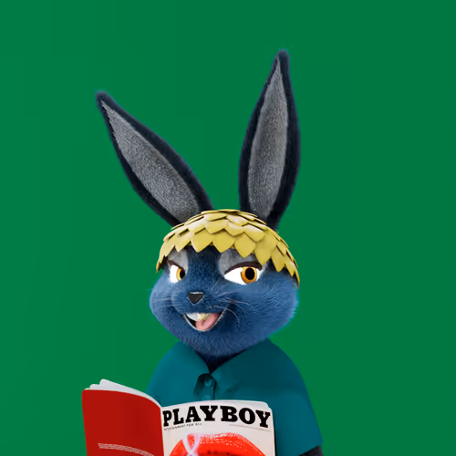 Playboyrabbitars