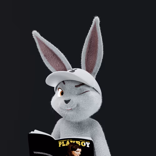 Playboyrabbitars