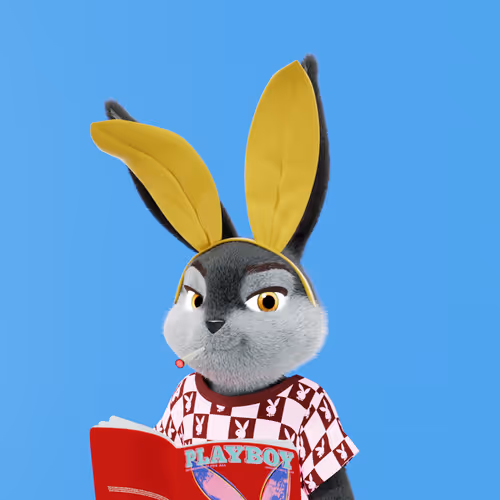 Playboyrabbitars