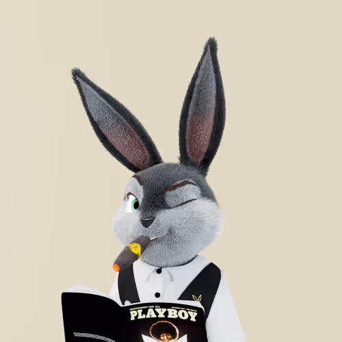 Playboyrabbitars