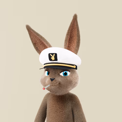 Playboyrabbitars