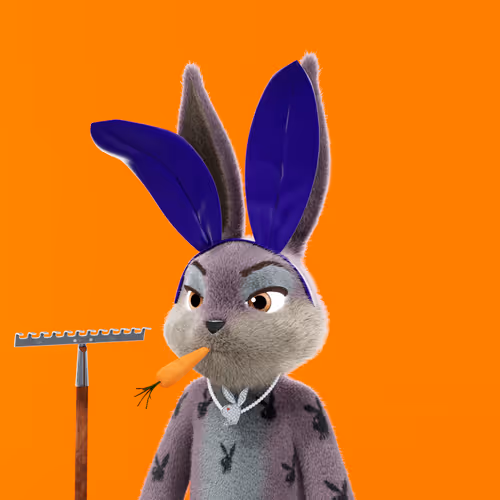 Playboyrabbitars