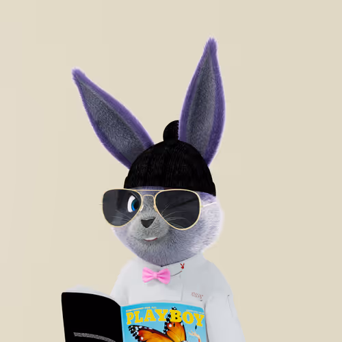Playboyrabbitars