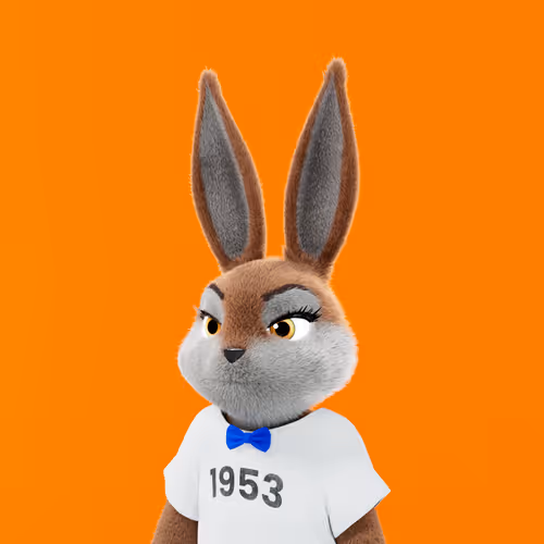 Playboyrabbitars