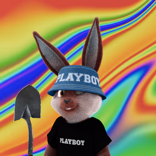 Playboyrabbitars