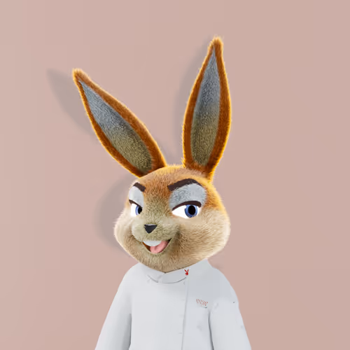Playboyrabbitars