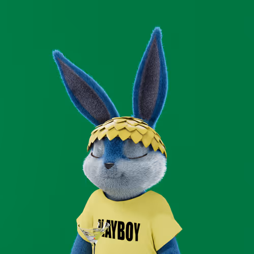 Playboyrabbitars