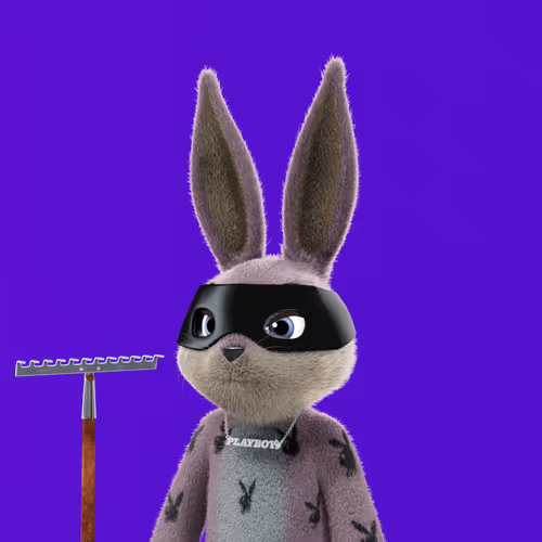 Playboyrabbitars