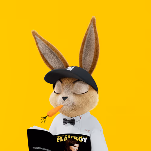 Playboyrabbitars