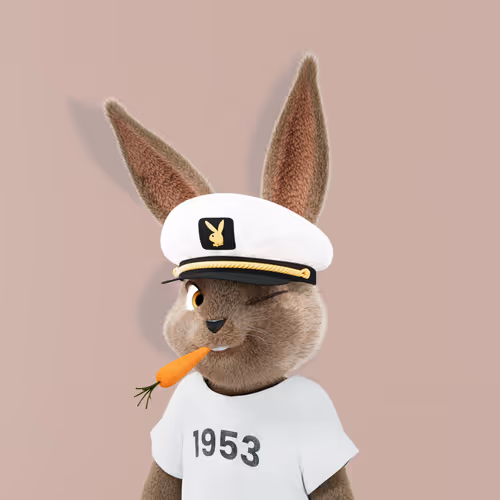 Playboyrabbitars