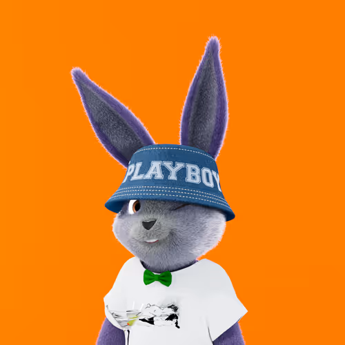 Playboyrabbitars