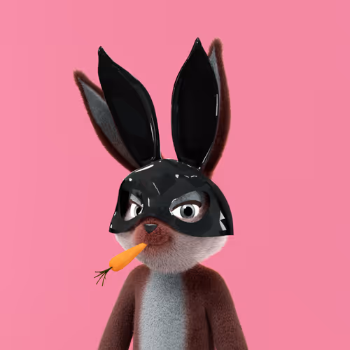 Playboyrabbitars