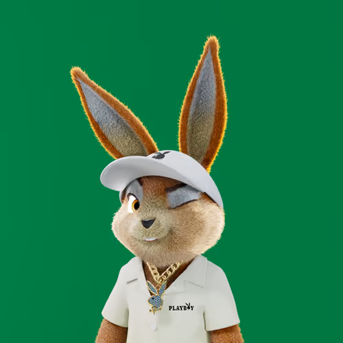 Rabbitar #4242