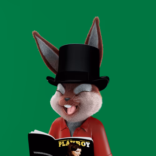 Playboyrabbitars