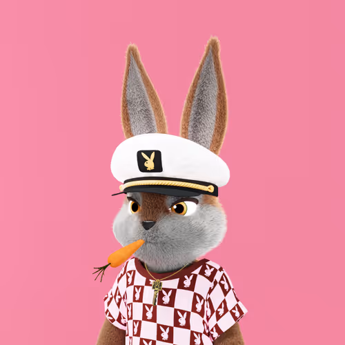 Playboyrabbitars