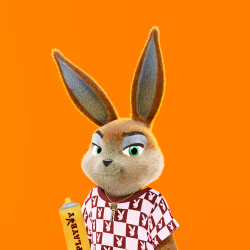 Playboyrabbitars