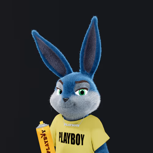 Playboyrabbitars