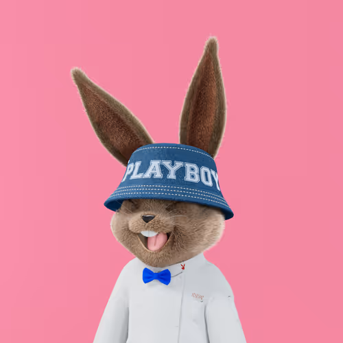 Playboyrabbitars