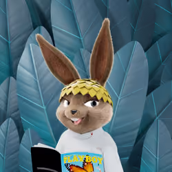 Rabbitar #7307