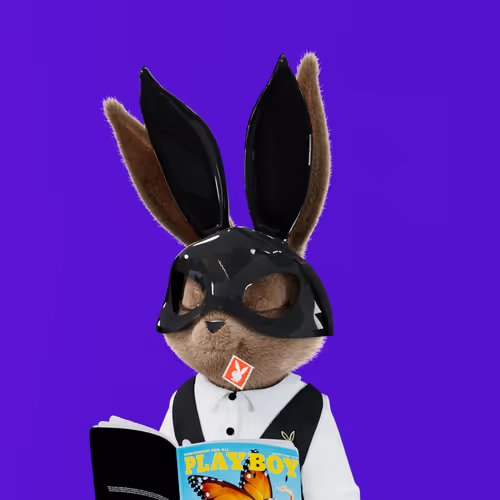 Playboyrabbitars