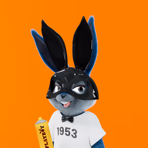 Playboyrabbitars