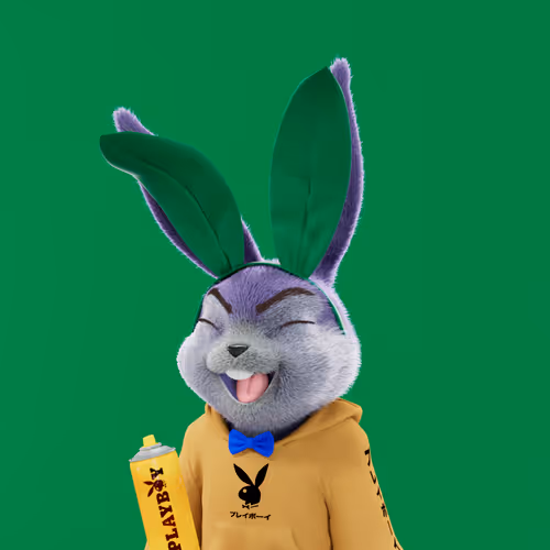 Playboyrabbitars