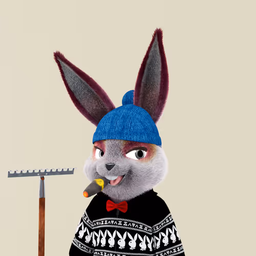 Playboyrabbitars
