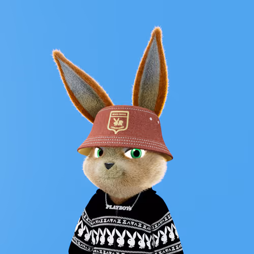 Rabbitar #4855