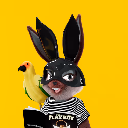 Playboyrabbitars