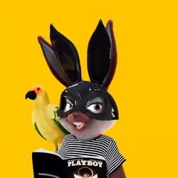 Rabbitar #3644