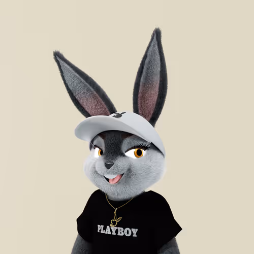Playboyrabbitars
