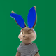 5569