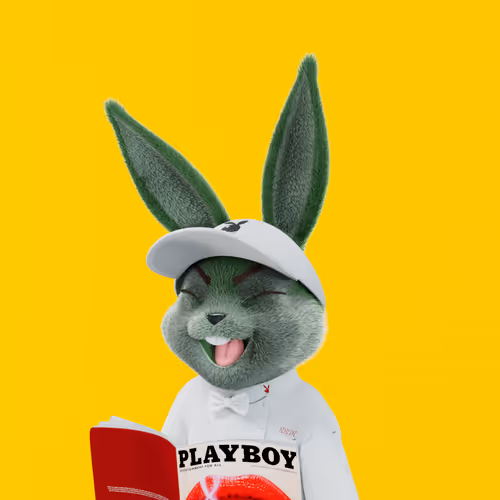 Playboyrabbitars