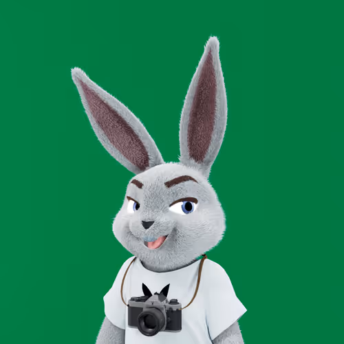 Playboyrabbitars