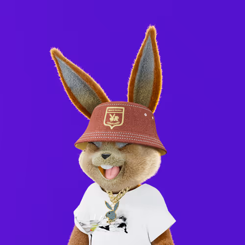 Playboyrabbitars