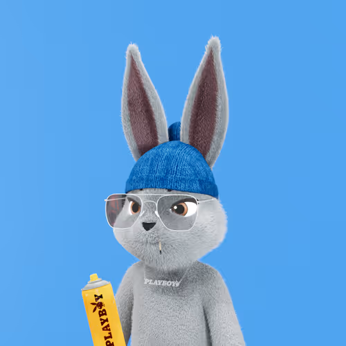 Playboyrabbitars