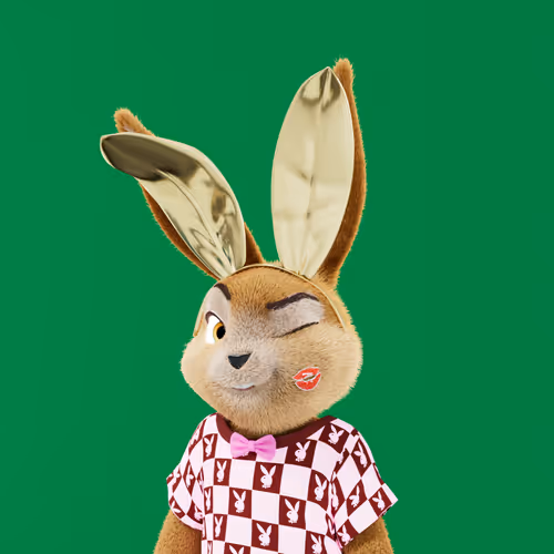 Playboyrabbitars