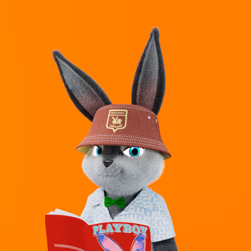 Playboyrabbitars