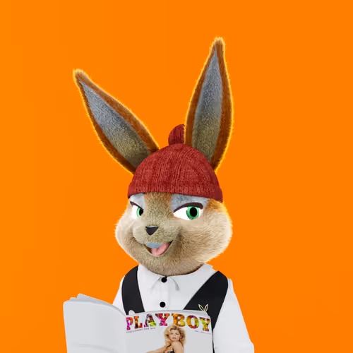 Playboyrabbitars