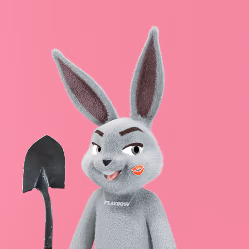Playboyrabbitars