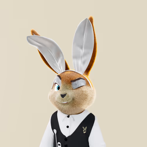 Playboyrabbitars