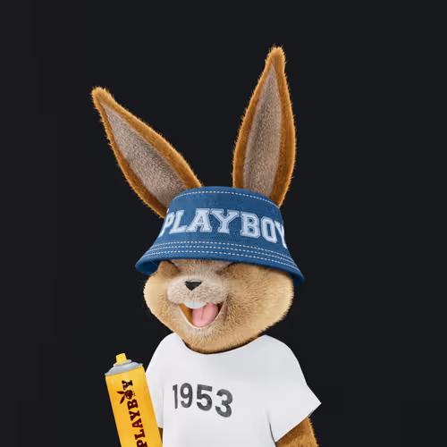 Playboyrabbitars