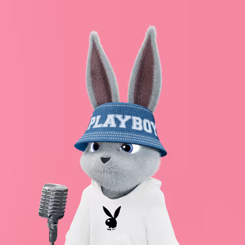 Playboyrabbitars
