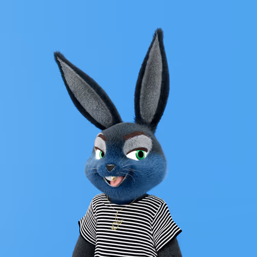 Playboyrabbitars